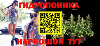 молекула духа Краснознаменск